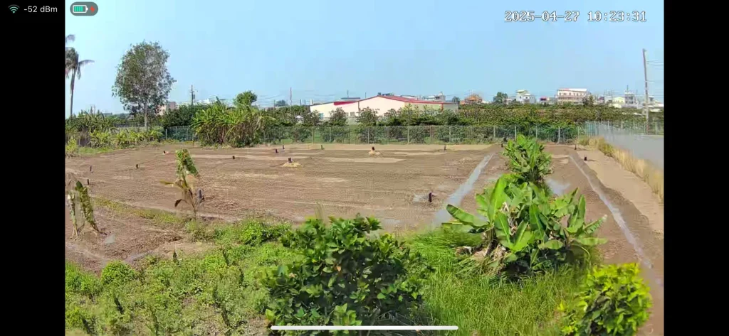監視器畫面：地植隔天的田區，右側溝渠有水流過