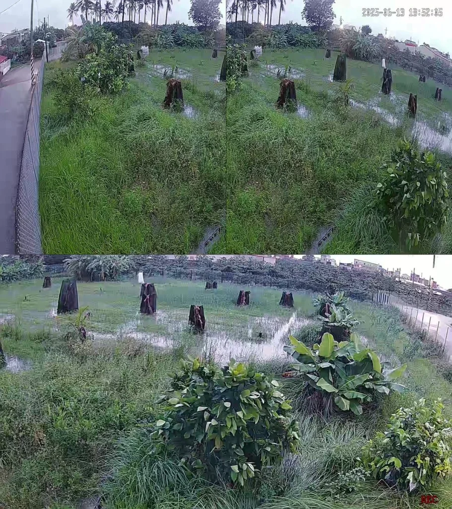 監視器畫面：6/13 田間大片積水，苗木罩著遮光網